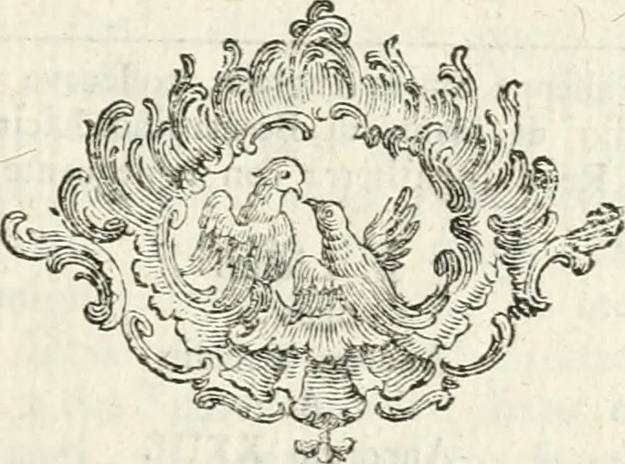 An illustration from Vite dei più celebri architetti, e scultori veneziani che fiorirono nel secolo decimosesto, 1778, leaf 302