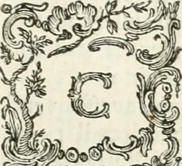 An illustration from Vite dei più celebri architetti, e scultori veneziani che fiorirono nel secolo decimosesto, 1778, leaf 538
