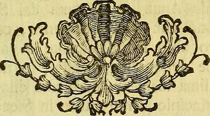 An illustration from Vite de più eccellenti pittori scultori ed architetti, 1767, leaf 392