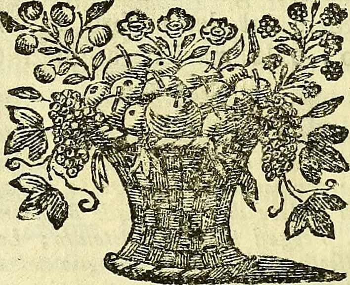An illustration from Vite de più eccellenti pittori scultori ed architetti, 1767, leaf 581