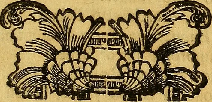 An illustration from Vite de più eccellenti pittori scultori ed architetti, 1767, leaf 608