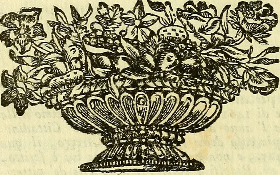 An illustration from Vite de più eccellenti pittori scultori ed architetti, 1767, leaf 485