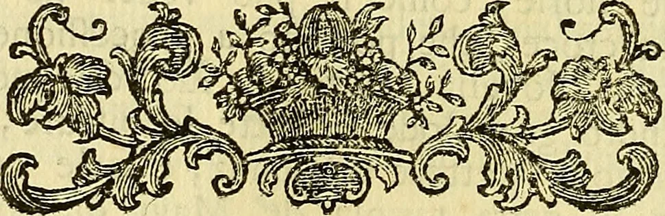 An illustration from Vite de più eccellenti pittori scultori ed architetti, 1767, leaf 539
