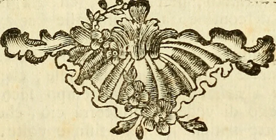 An illustration from Vite de più eccellenti pittori scultori ed architetti, 1767, leaf 154