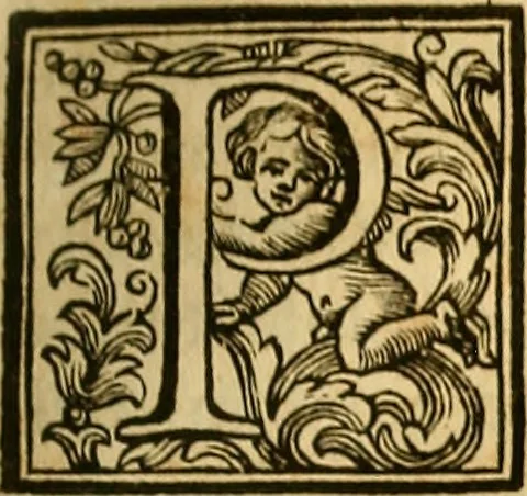 An illustration from Vite de' pittore, scultori, ed architetti perugini : scritte, e dedicate alla maestà di Carlo Emanuel, re di Sardegna, 1732, leaf 102