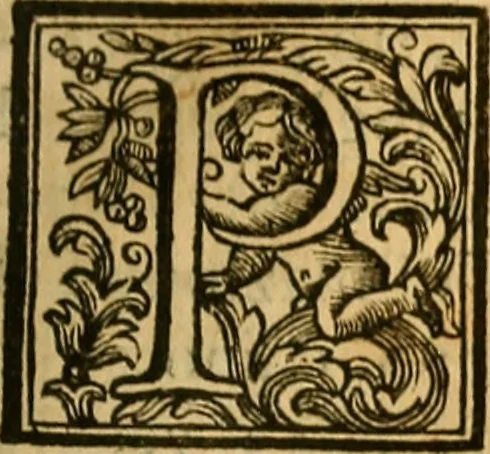 An illustration from Vite de' pittore, scultori, ed architetti perugini : scritte, e dedicate alla maestà di Carlo Emanuel, re di Sardegna, 1732, leaf 222