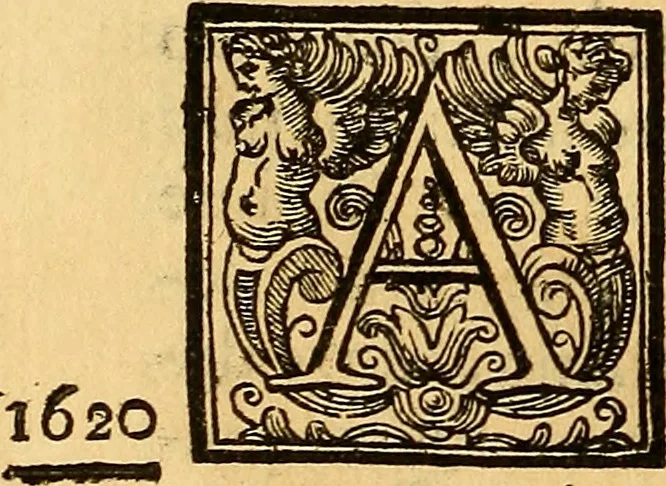 An illustration from Vite de' pittore, scultori, ed architetti perugini : scritte, e dedicate alla maestà di Carlo Emanuel, re di Sardegna, 1732, leaf 225