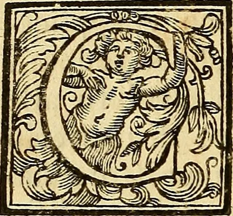 An illustration from Vite de' pittore, scultori, ed architetti perugini : scritte, e dedicate alla maestà di Carlo Emanuel, re di Sardegna, 1732, leaf 227