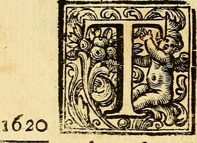 An illustration from Vite de' pittore, scultori, ed architetti perugini : scritte, e dedicate alla maestà di Carlo Emanuel, re di Sardegna, 1732, leaf 229