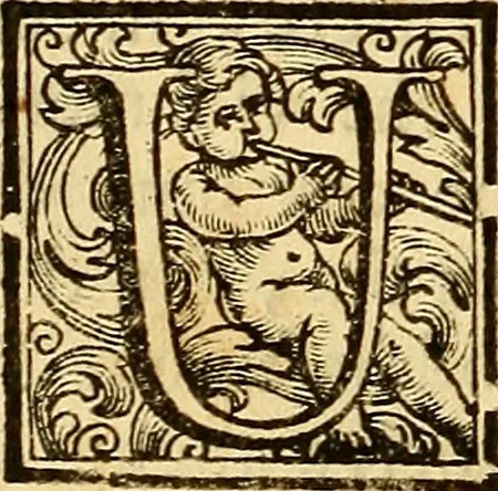An illustration from Vite de' pittore, scultori, ed architetti perugini : scritte, e dedicate alla maestà di Carlo Emanuel, re di Sardegna, 1732, leaf 231