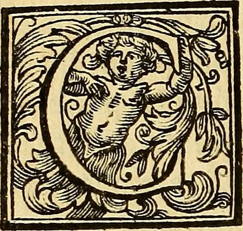 An illustration from Vite de' pittore, scultori, ed architetti perugini : scritte, e dedicate alla maestà di Carlo Emanuel, re di Sardegna, 1732, leaf 245