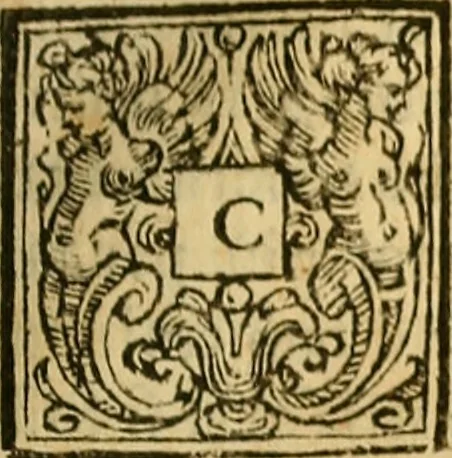 An illustration from Vite de' pittore, scultori, ed architetti perugini : scritte, e dedicate alla maestà di Carlo Emanuel, re di Sardegna, 1732, leaf 264
