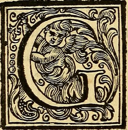 An illustration from Vite de' pittore, scultori, ed architetti perugini : scritte, e dedicate alla maestà di Carlo Emanuel, re di Sardegna, 1732, leaf 265