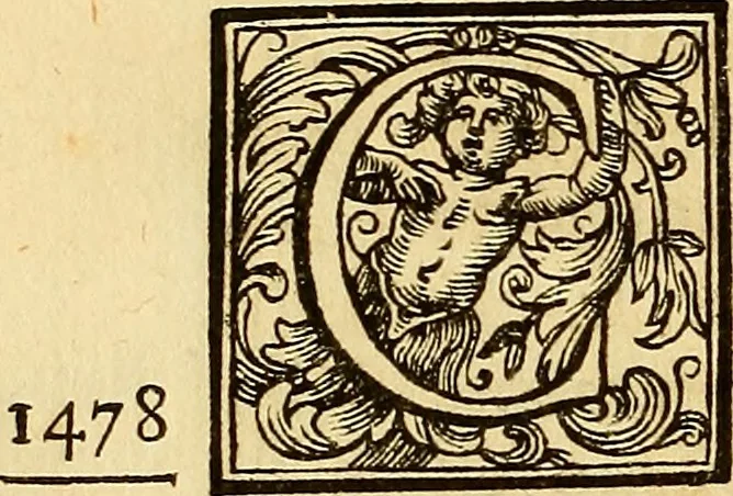 An illustration from Vite de' pittore, scultori, ed architetti perugini : scritte, e dedicate alla maestà di Carlo Emanuel, re di Sardegna, 1732, leaf 71