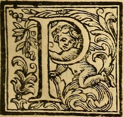 An illustration from Vite de' pittore, scultori, ed architetti perugini : scritte, e dedicate alla maestà di Carlo Emanuel, re di Sardegna, 1732, leaf 86