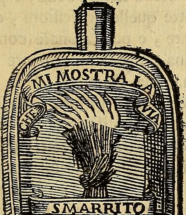 An illustration from Vite de pittori antichi, 1667, leaf 170