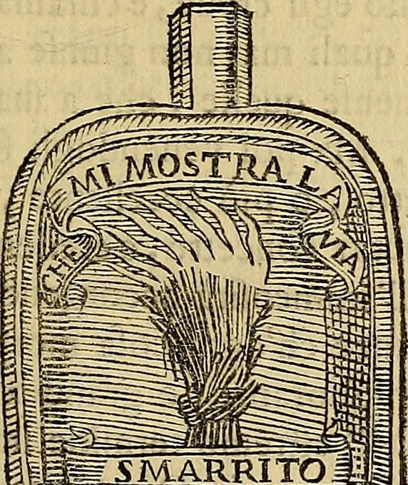 An illustration from Vite de pittori antichi, 1667, leaf 98
