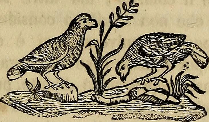An illustration from Vite de' pittori e scultori ferraresi, 1844, leaf 66