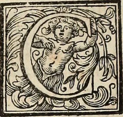 An illustration from Vite de'pittori, scultori ed architetti perugini, 1732, leaf 243