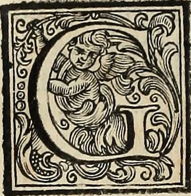 An illustration from Vite de'pittori, scultori ed architetti perugini, 1732, leaf 263