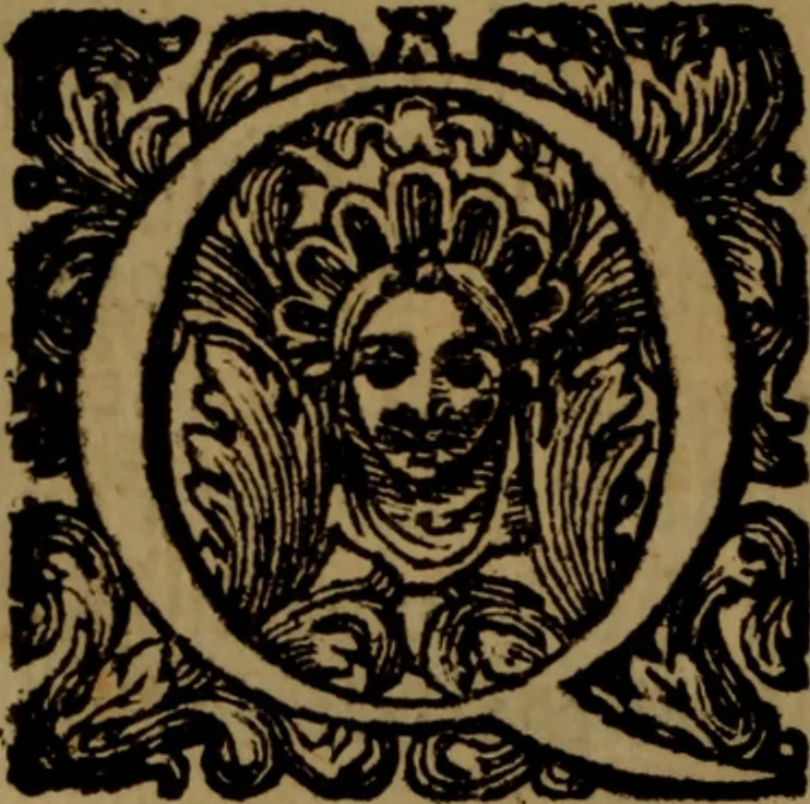 An illustration from Vite de' pittori, scultori, ed architetti moderni : scritte, e dedicate alla maestà di Vittorio Amadeo, Re di Sardegna, 1730, leaf 13