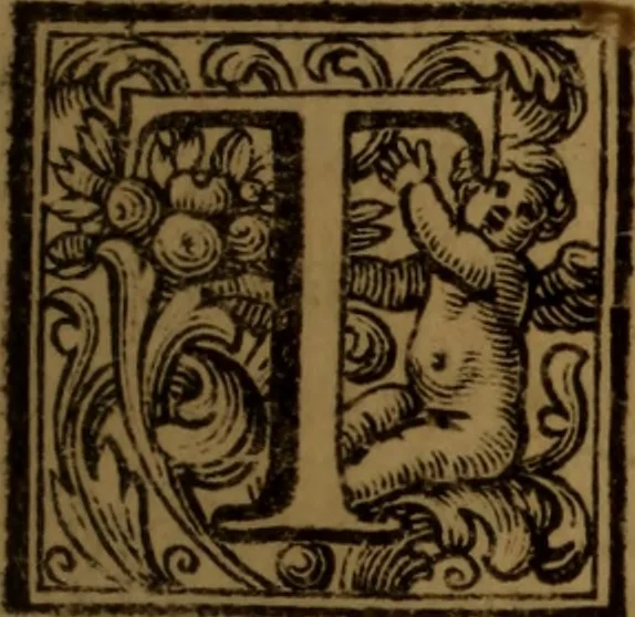 An illustration from Vite de' pittori, scultori, ed architetti moderni : scritte, e dedicate alla maestà di Vittorio Amadeo, Re di Sardegna, 1730, leaf 130