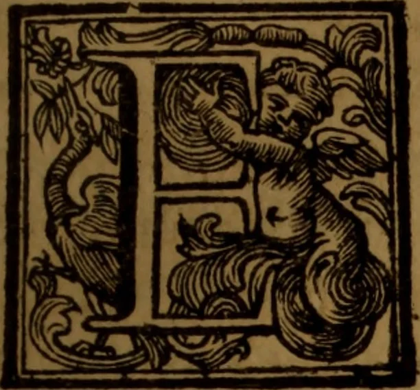 An illustration from Vite de' pittori, scultori, ed architetti moderni : scritte, e dedicate alla maestà di Vittorio Amadeo, Re di Sardegna, 1730, leaf 174
