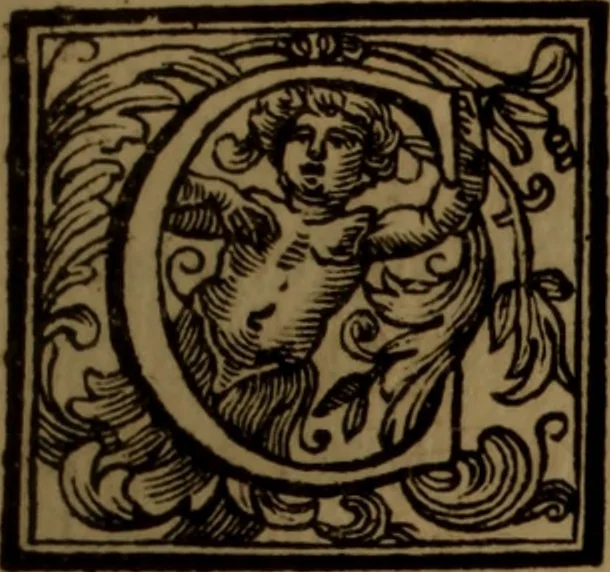 An illustration from Vite de' pittori, scultori, ed architetti moderni : scritte, e dedicate alla maestà di Vittorio Amadeo, Re di Sardegna, 1730, leaf 202