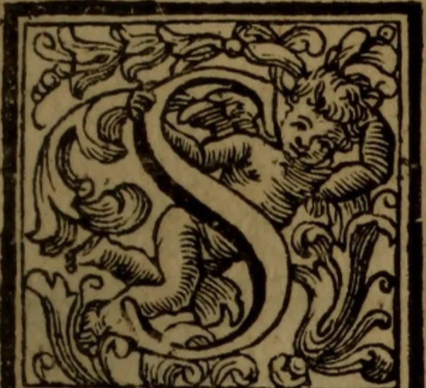 An illustration from Vite de' pittori, scultori, ed architetti moderni : scritte, e dedicate alla maestà di Vittorio Amadeo, Re di Sardegna, 1730, leaf 210