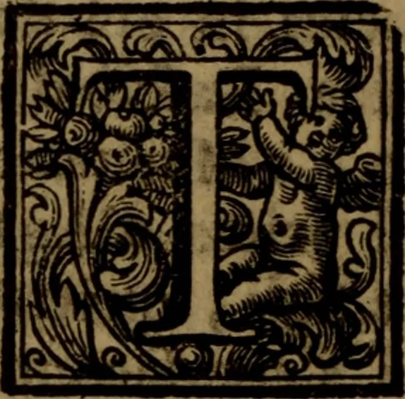 An illustration from Vite de' pittori, scultori, ed architetti moderni : scritte, e dedicate alla maestà di Vittorio Amadeo, Re di Sardegna, 1730, leaf 215