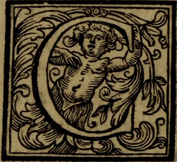 An illustration from Vite de' pittori, scultori, ed architetti moderni : scritte, e dedicate alla maestà di Vittorio Amadeo, Re di Sardegna, 1730, leaf 219