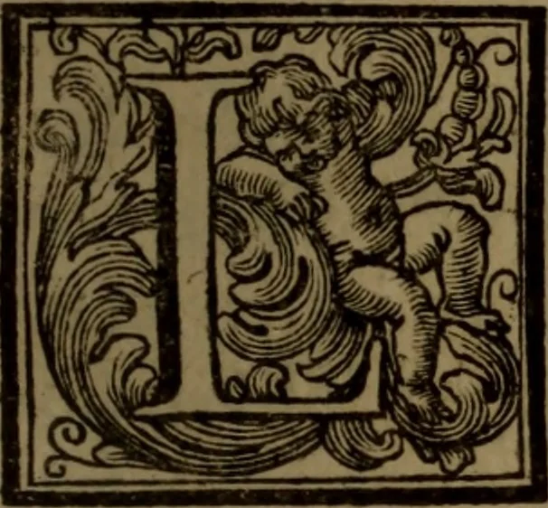 An illustration from Vite de' pittori, scultori, ed architetti moderni : scritte, e dedicate alla maestà di Vittorio Amadeo, Re di Sardegna, 1730, leaf 234