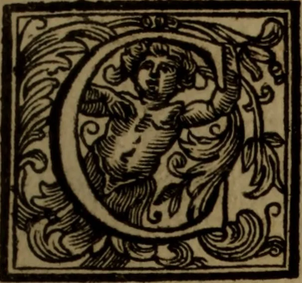 An illustration from Vite de' pittori, scultori, ed architetti moderni : scritte, e dedicate alla maestà di Vittorio Amadeo, Re di Sardegna, 1730, leaf 262