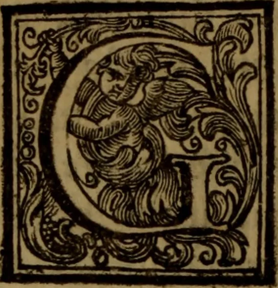 An illustration from Vite de' pittori, scultori, ed architetti moderni : scritte, e dedicate alla maestà di Vittorio Amadeo, Re di Sardegna, 1730, leaf 273