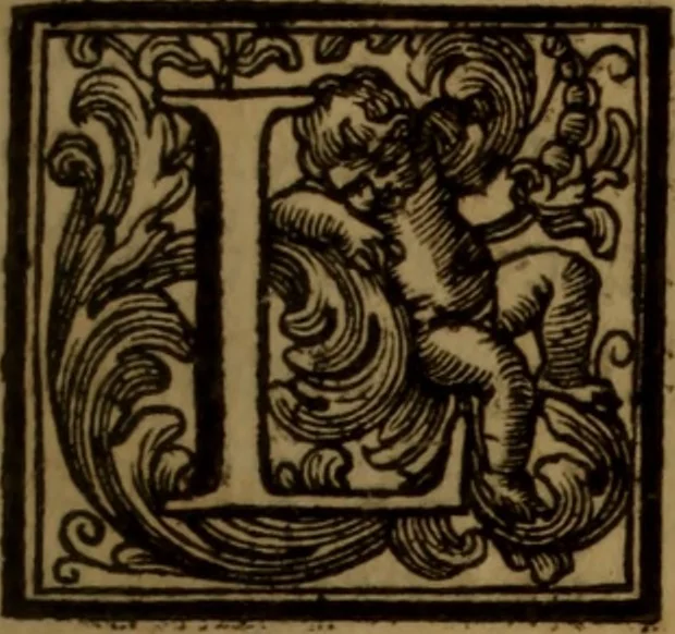 An illustration from Vite de' pittori, scultori, ed architetti moderni : scritte, e dedicate alla maestà di Vittorio Amadeo, Re di Sardegna, 1730, leaf 304