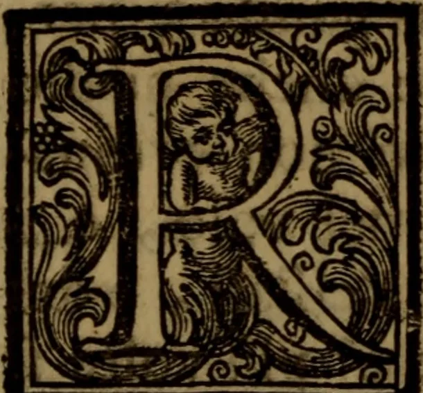 An illustration from Vite de' pittori, scultori, ed architetti moderni : scritte, e dedicate alla maestà di Vittorio Amadeo, Re di Sardegna, 1730, leaf 323