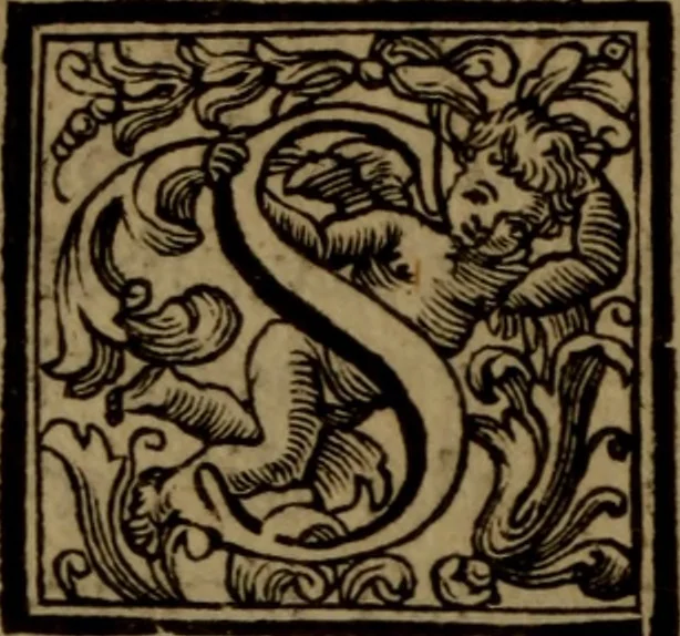 An illustration from Vite de' pittori, scultori, ed architetti moderni : scritte, e dedicate alla maestà di Vittorio Amadeo, Re di Sardegna, 1730, leaf 341