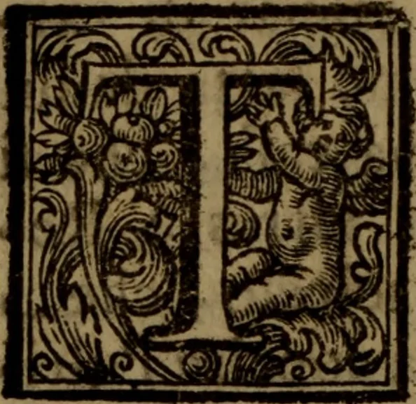 An illustration from Vite de' pittori, scultori, ed architetti moderni : scritte, e dedicate alla maestà di Vittorio Amadeo, Re di Sardegna, 1730, leaf 347