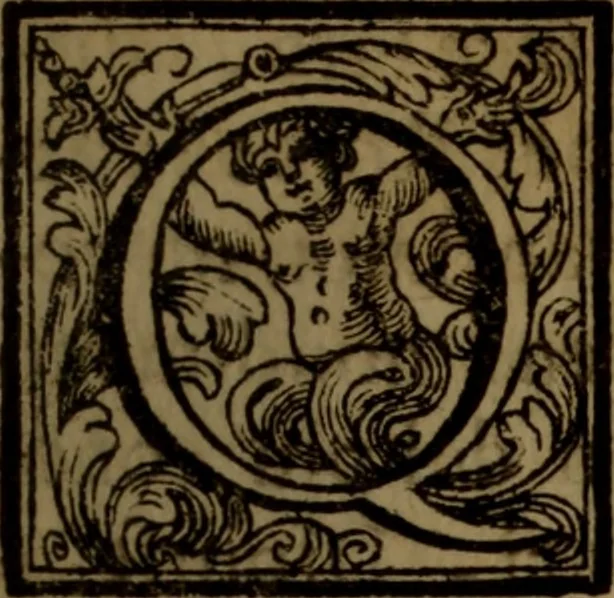 An illustration from Vite de' pittori, scultori, ed architetti moderni : scritte, e dedicate alla maestà di Vittorio Amadeo, Re di Sardegna, 1730, leaf 40