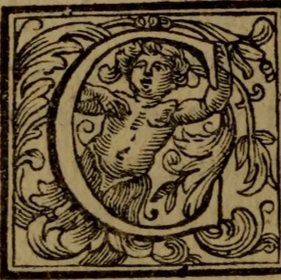 An illustration from Vite de' pittori, scultori, ed architetti moderni : scritte, e dedicate alla maestà di Vittorio Amadeo, Re di Sardegna, 1730, leaf 45
