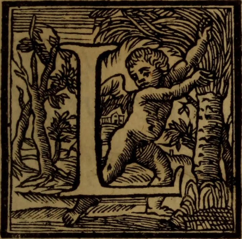 An illustration from Vite de' pittori, scultori, ed architetti moderni : scritte, e dedicate alla maestà di Vittorio Amadeo, Re di Sardegna, 1730, leaf 6