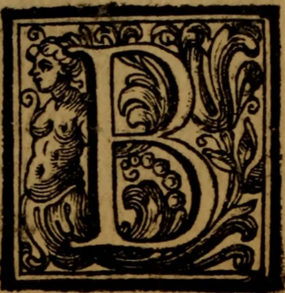 An illustration from Vite de' pittori, scultori, ed architetti moderni : scritte, e dedicate alla maestà di Vittorio Amadeo, Re di Sardegna, 1730, leaf 63
