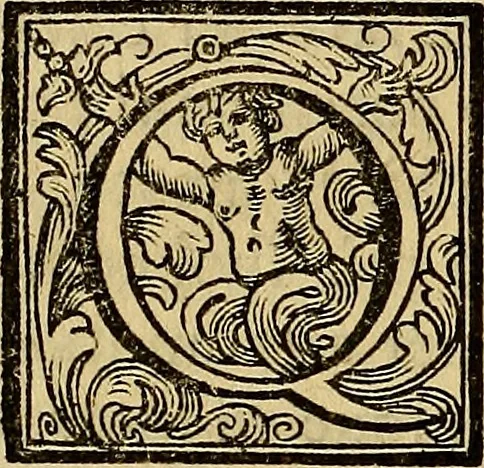 An illustration from Vite de' pittori, scultori, ed architetti moderni : scritte, e dedicate alla maestà di Vittorio Amadeo, Re di Sardegna, 1730, leaf 145