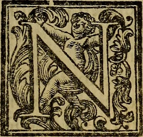 An illustration from Vite de' pittori, scultori, ed architetti moderni : scritte, e dedicate alla maestà di Vittorio Amadeo, Re di Sardegna, 1730, leaf 156