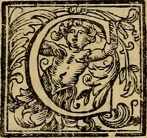 An illustration from Vite de' pittori, scultori, ed architetti moderni : scritte, e dedicate alla maestà di Vittorio Amadeo, Re di Sardegna, 1730, leaf 182
