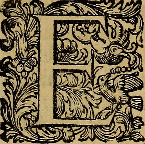 An illustration from Vite de' pittori, scultori, ed architetti moderni : scritte, e dedicate alla maestà di Vittorio Amadeo, Re di Sardegna, 1730, leaf 20
