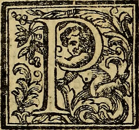 An illustration from Vite de' pittori, scultori, ed architetti moderni : scritte, e dedicate alla maestà di Vittorio Amadeo, Re di Sardegna, 1730, leaf 207