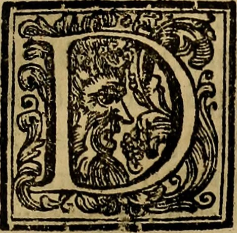 An illustration from Vite de' pittori, scultori, ed architetti moderni : scritte, e dedicate alla maestà di Vittorio Amadeo, Re di Sardegna, 1730, leaf 218