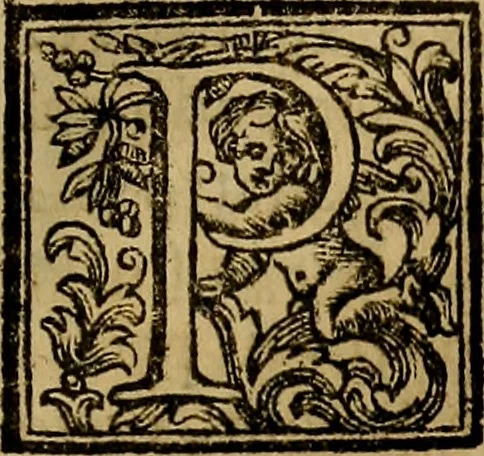 An illustration from Vite de' pittori, scultori, ed architetti moderni : scritte, e dedicate alla maestà di Vittorio Amadeo, Re di Sardegna, 1730, leaf 254