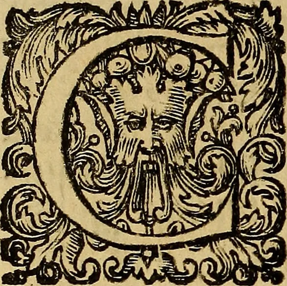 An illustration from Vite de' pittori, scultori, ed architetti moderni : scritte, e dedicate alla maestà di Vittorio Amadeo, Re di Sardegna, 1730, leaf 27